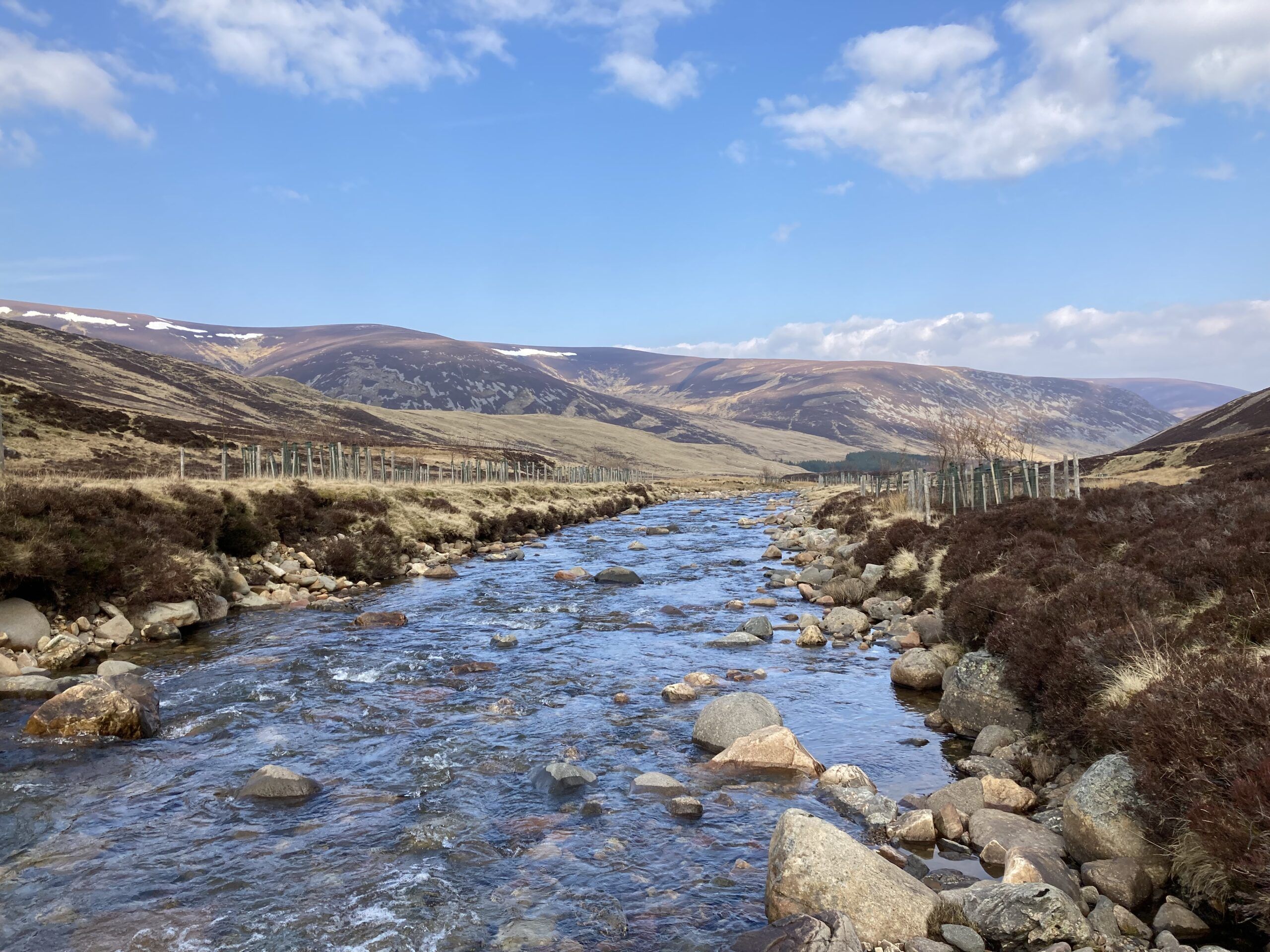 Set Scotlands Rivers Free Scotlink