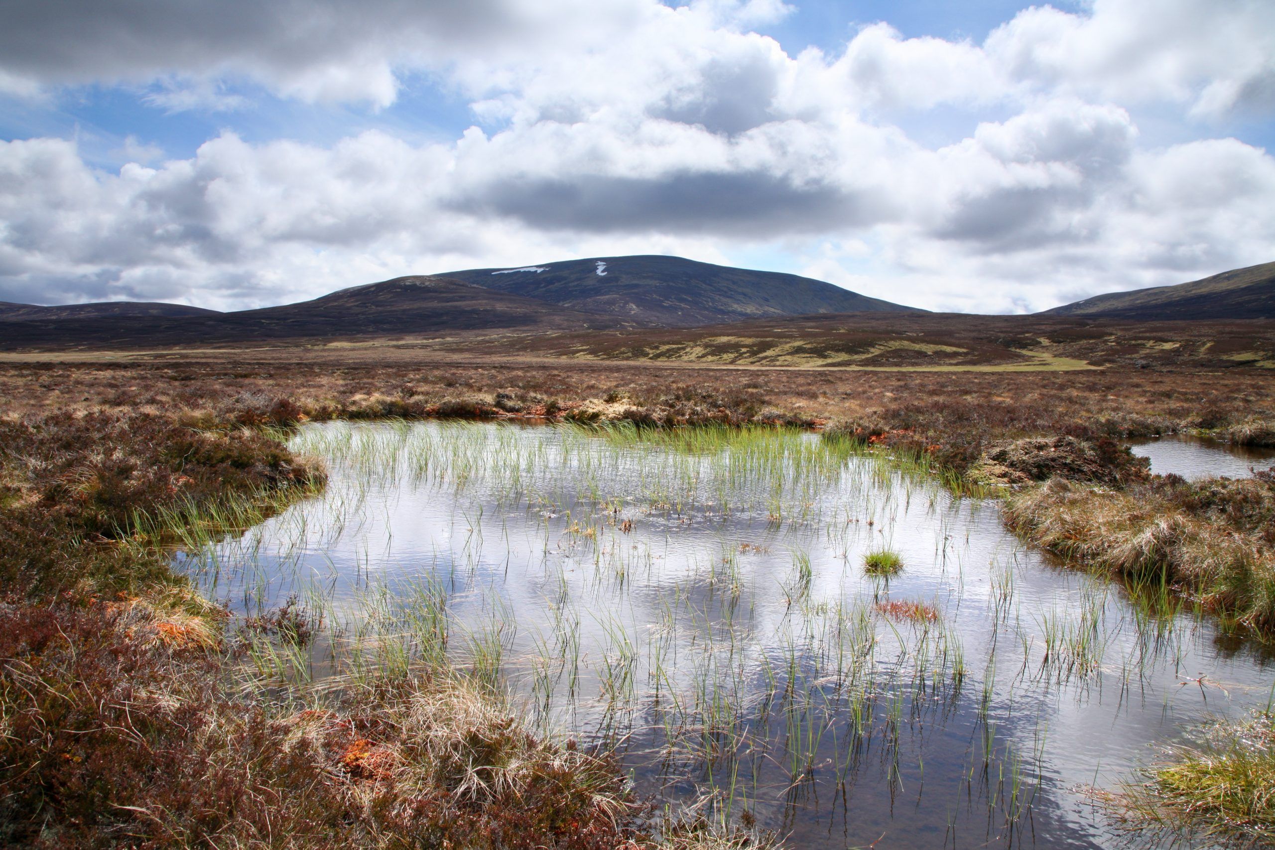 Blanket Bogs Scotlink