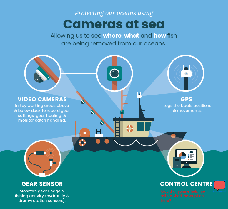Fisheries Remote Electronic Monitoring REM With Cameras Would Be A Win Win Win For Wildlife