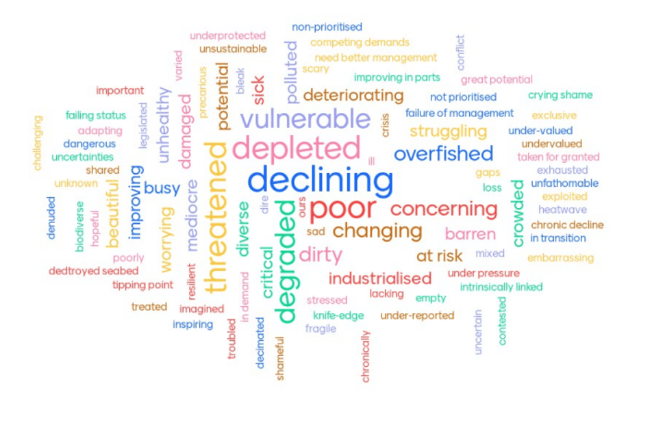 a word cloud with responses to the question: “What three words would you use to describe the current health of Scotland’s seas?”