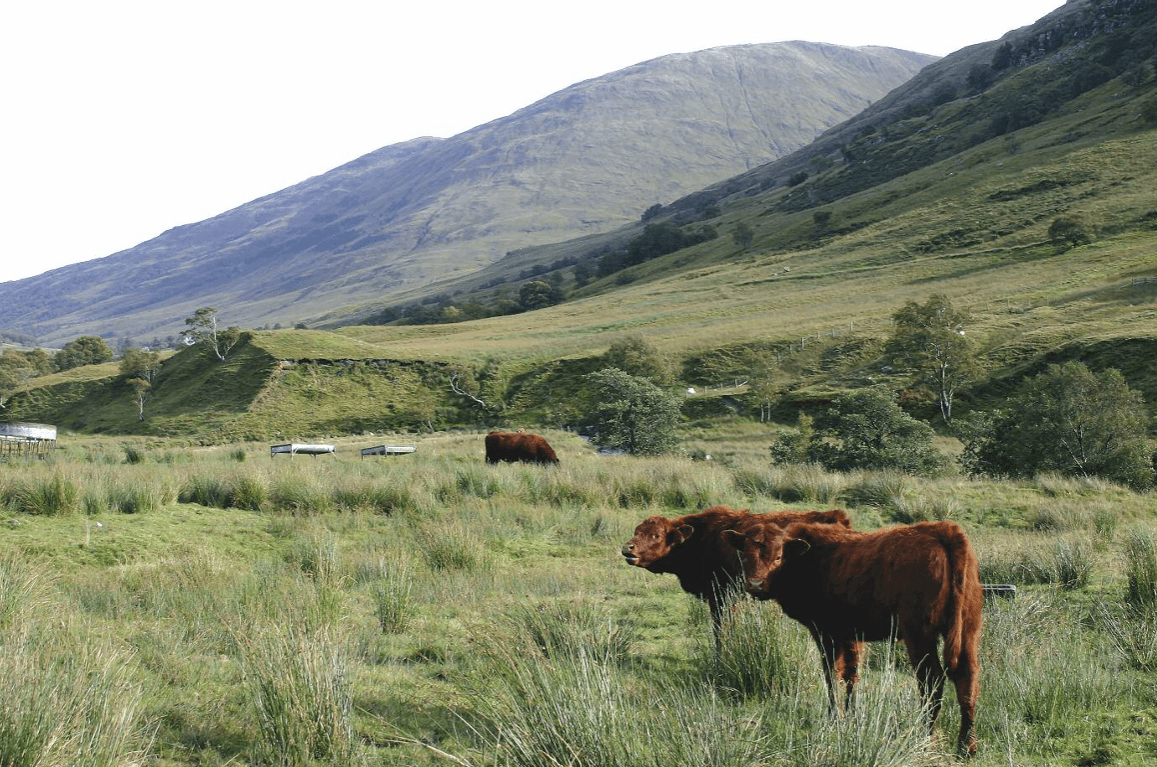 farming-benefits-pic-aspect-ratio-540-358