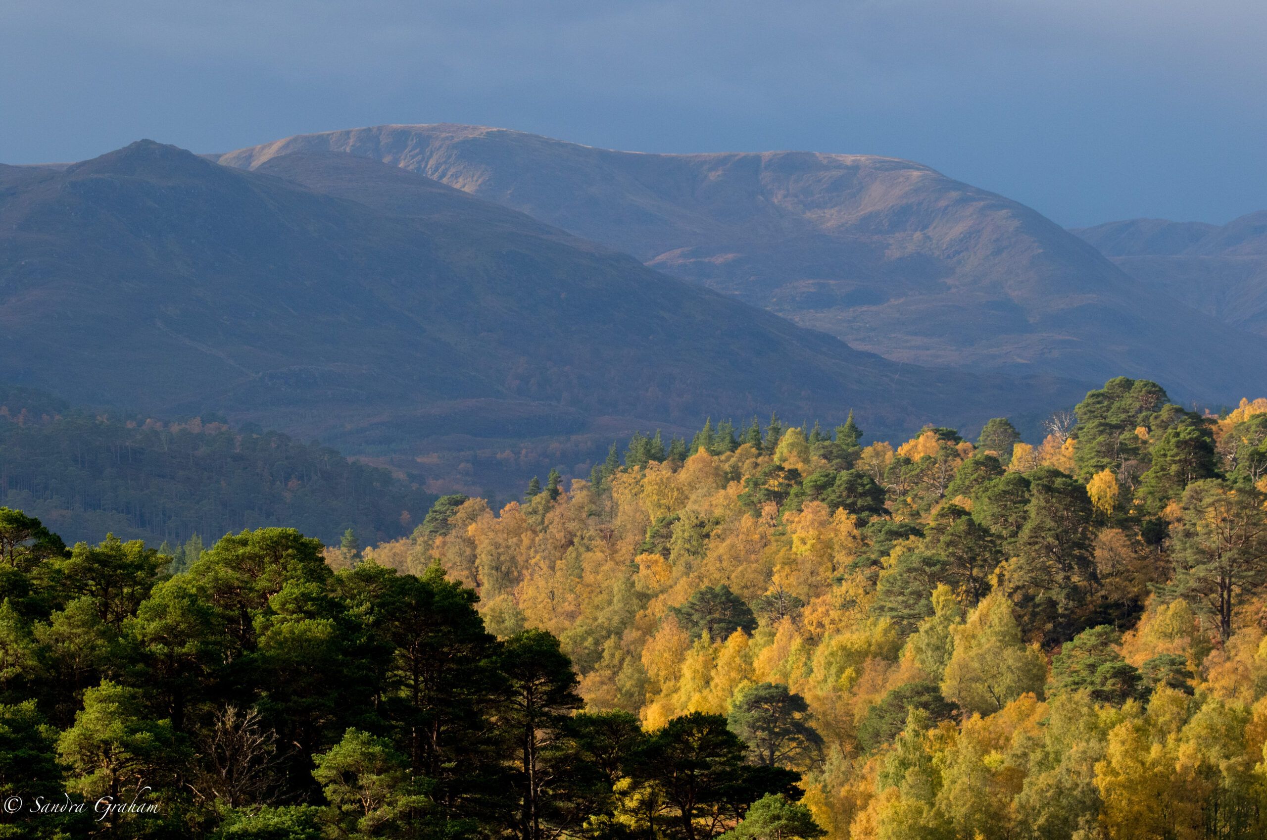 Glen-Affric-Sandra-Graham-large-scaled-aspect-ratio-540-358